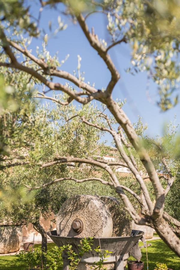 Bb Olive Bed and Breakfast Seget  Εξωτερικό φωτογραφία