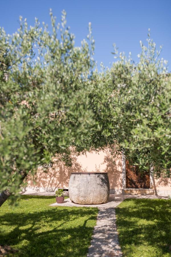 Bb Olive Bed and Breakfast Seget  Εξωτερικό φωτογραφία