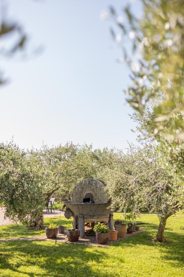 Bb Olive Bed and Breakfast Seget  Εξωτερικό φωτογραφία